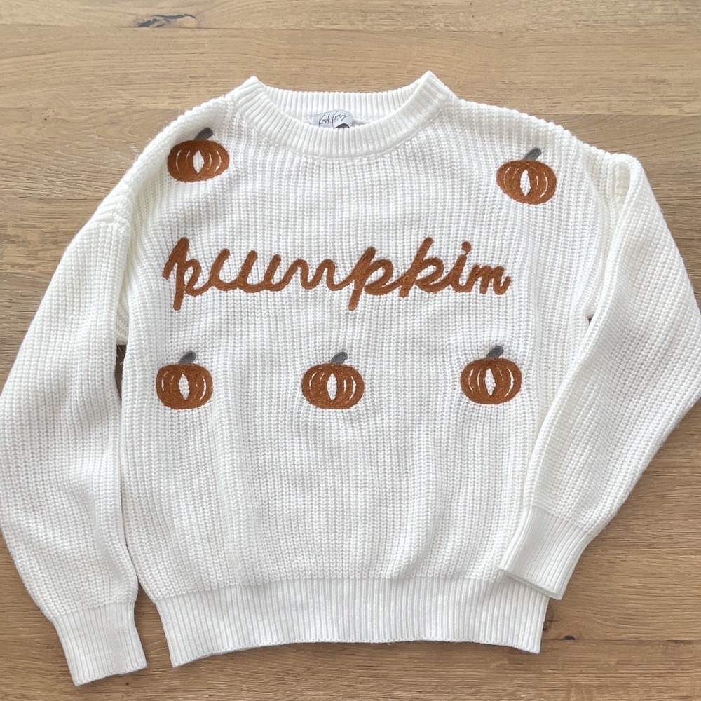 Kash Kandy Boutique Women's M Ivory/Brown Pumpkin Embroidered Rib-Knit Sweater